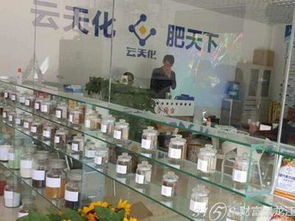 云天化測土配方肥 加盟代理前景與網(wǎng)絡(luò)技術(shù)服務(wù)解析